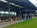 Gruppe Studierende mit Betriebsleiter vor einem Stall